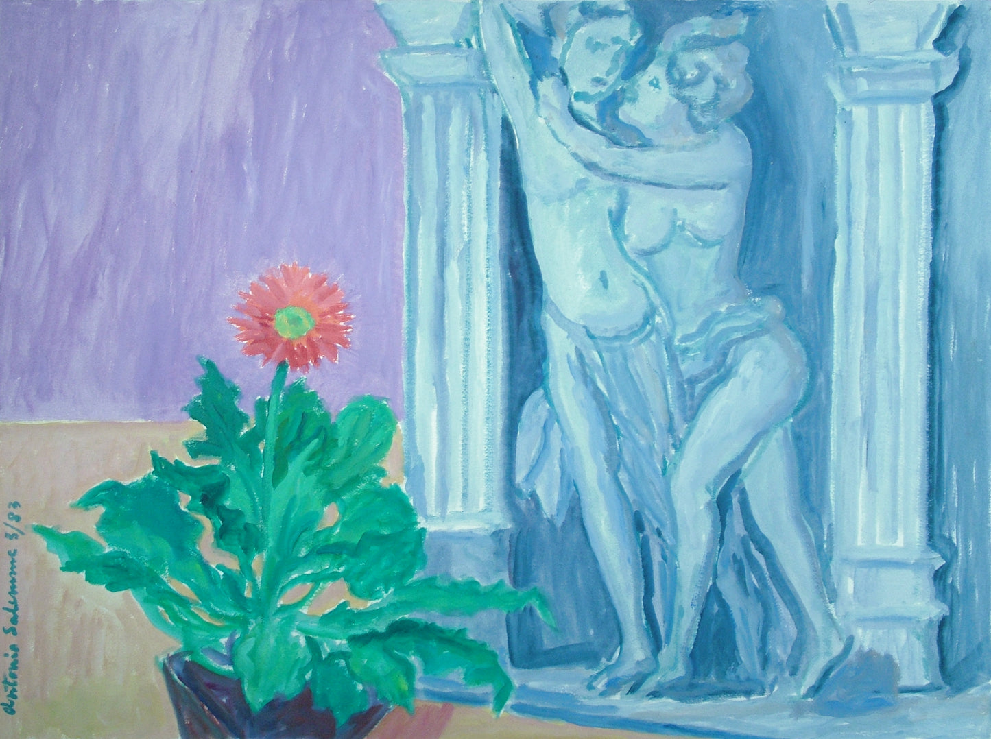 Gerber Daisy - not for sale