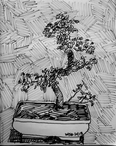 my bonsai, 14"x17"