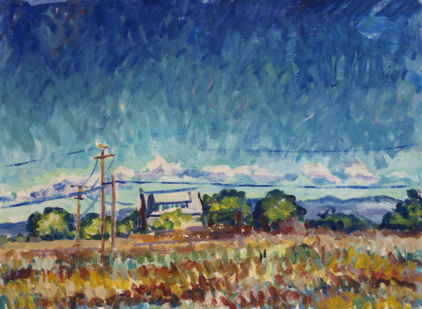 #pleinair #painting #fineart 'around Santa Rosa' 22"x30"
