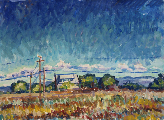 #pleinair #painting #fineart 'around Santa Rosa' 22"x30"